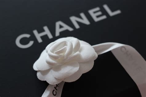 fiore simbolo della maison chanel|La storia della camelia bianca, il fiore di Chanel .